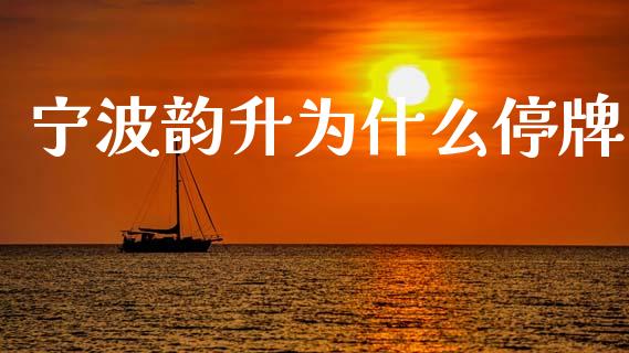 宁波韵升为什么停牌_https://www.fsyjjx.cn_股指期货_第1张