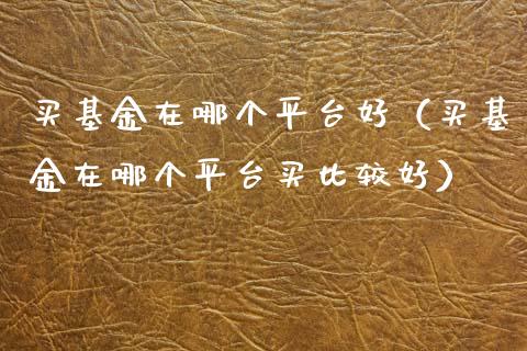 买基金在哪个平台好（买基金在哪个平台买比较好）_https://www.fsyjjx.cn_问财精选_第1张