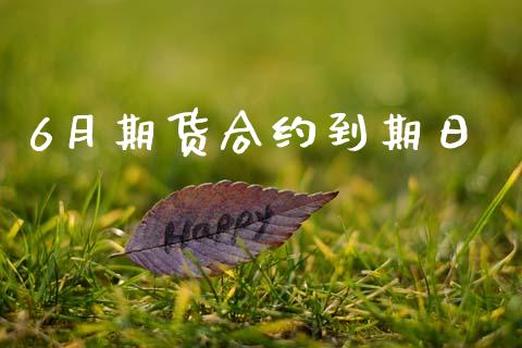 6月期货合约到期日_https://www.fsyjjx.cn_期货在线_第1张
