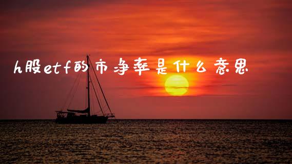 h股etf的市净率是什么意思_https://www.fsyjjx.cn_理财资讯_第1张