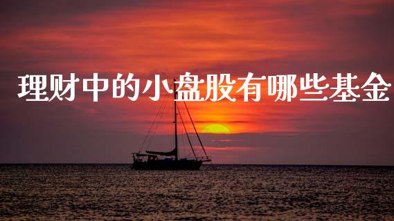 理财中的小盘股有哪些基金_https://www.fsyjjx.cn_理财资讯_第1张