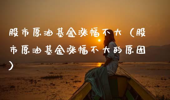 股市原油基金涨幅不大（股市原油基金涨幅不大的原因）_https://www.fsyjjx.cn_问财精选_第1张