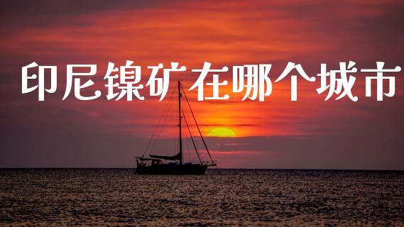 印尼镍矿在哪个城市_https://www.fsyjjx.cn_期货资讯_第1张