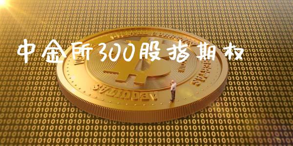 中金所300股指期权_https://www.fsyjjx.cn_期货研报_第1张