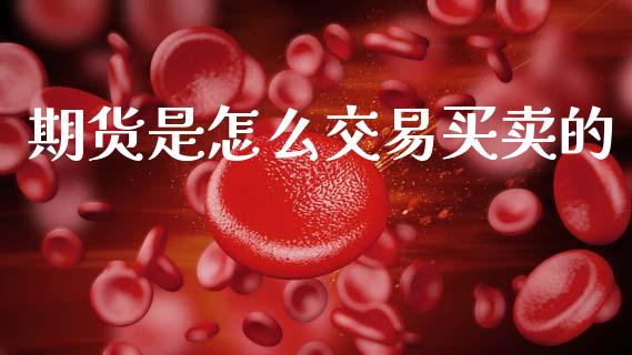 期货是怎么交易买卖的_https://www.fsyjjx.cn_期货研报_第1张