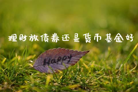 理财放债券还是货币基金好_https://www.fsyjjx.cn_理财资讯_第1张