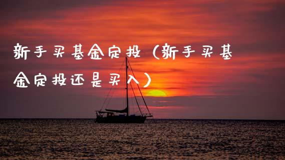 新手买基金定投（新手买基金定投还是买入）_https://www.fsyjjx.cn_问财精选_第1张