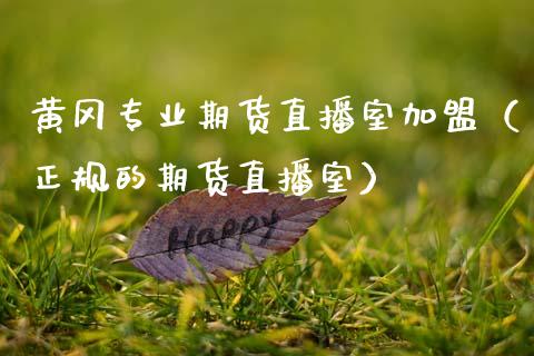 黄冈专业期货直播室加盟（正规的期货直播室）_https://www.fsyjjx.cn_期货在线_第1张