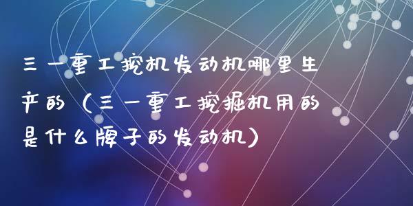 三一重工挖机发动机哪里生产的（三一重工挖掘机用的是什么牌子的发动机）_https://www.fsyjjx.cn_股指期货_第1张