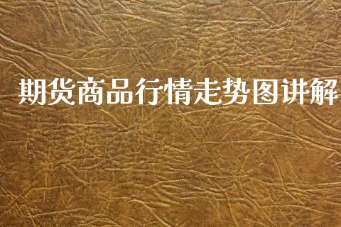 期货商品行情走势图讲解_https://www.fsyjjx.cn_期货资讯_第1张