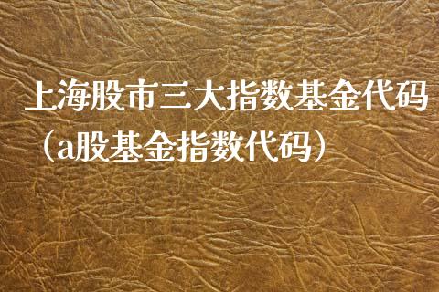 上海股市三大指数基金代码（a股基金指数代码）_https://www.fsyjjx.cn_问财精选_第1张