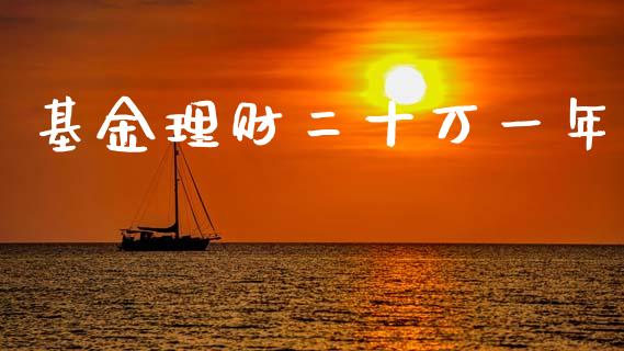 基金理财二十万一年_https://www.fsyjjx.cn_问财精选_第1张