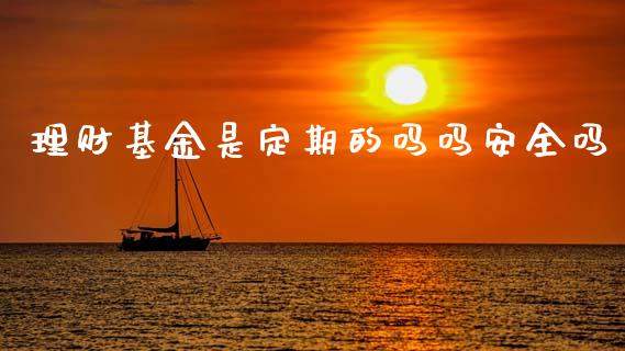 理财基金是定期的吗吗安全吗_https://www.fsyjjx.cn_理财资讯_第1张
