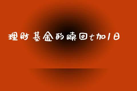 理财基金的赎回t加1日_https://www.fsyjjx.cn_问财精选_第1张