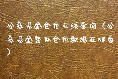公募基金仓位在线查询（公募基金整体仓位数据在哪看）_https://www.fsyjjx.cn_问财精选_第1张