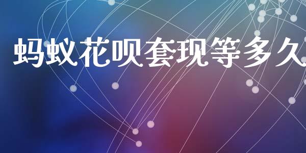 蚂蚁花呗套现等多久_https://www.fsyjjx.cn_股票指导_第1张