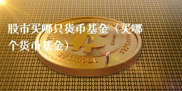 股市买哪只货币基金（买哪个货币基金）_https://www.fsyjjx.cn_问财精选_第1张