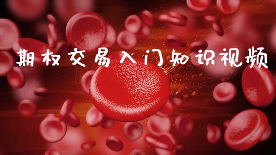 期权交易入门知识视频_https://www.fsyjjx.cn_期货研报_第1张