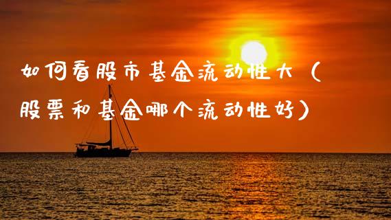 如何看股市基金流动性大（股票和基金哪个流动性好）_https://www.fsyjjx.cn_理财资讯_第1张