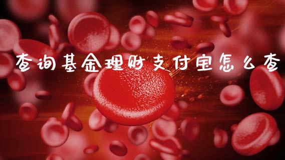 查询基金理财支付宝怎么查_https://www.fsyjjx.cn_理财资讯_第1张
