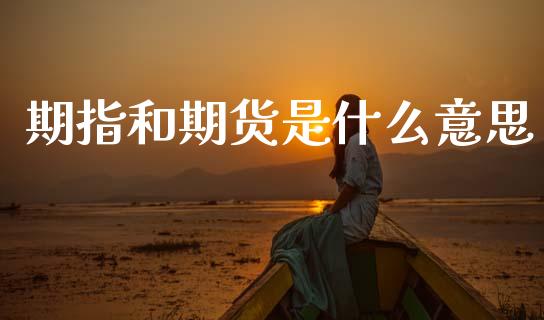 期指和期货是什么意思_https://www.fsyjjx.cn_期货研报_第1张