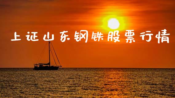 上证山东钢铁股票行情_https://www.fsyjjx.cn_股票指导_第1张