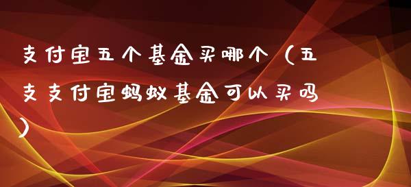 支付宝五个基金买哪个（五支支付宝蚂蚁基金可以买吗）_https://www.fsyjjx.cn_问财精选_第1张