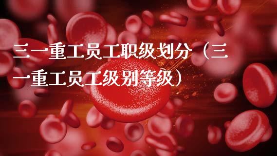 三一重工员工职级划分（三一重工员工级别等级）_https://www.fsyjjx.cn_股票指导_第1张