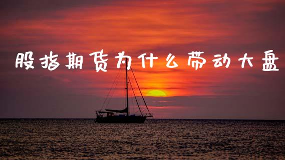 股指期货为什么带动大盘_https://www.fsyjjx.cn_股指期货_第1张