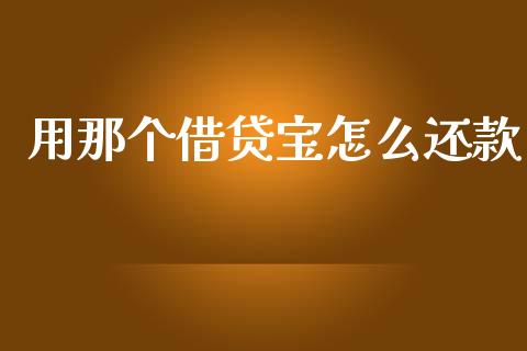 用那个借贷宝怎么还款_https://www.fsyjjx.cn_期货在线_第1张