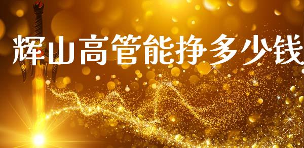 辉山高管能挣多少钱_https://www.fsyjjx.cn_理财资讯_第1张