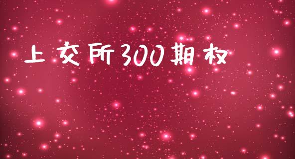 上交所300期权_https://www.fsyjjx.cn_问财精选_第1张