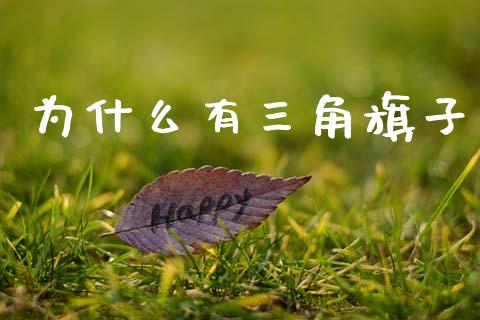 为什么有三角旗子_https://www.fsyjjx.cn_期货资讯_第1张