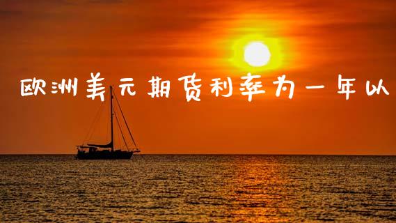 欧洲美元期货利率为一年以_https://www.fsyjjx.cn_期货研报_第1张