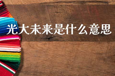 光大未来是什么意思_https://www.fsyjjx.cn_股市分析_第1张