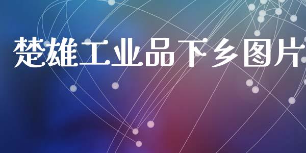 楚雄工业品下乡图片_https://www.fsyjjx.cn_期货资讯_第1张