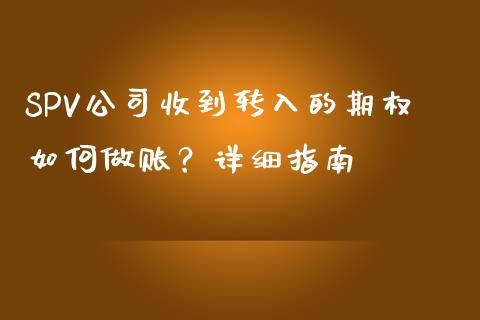 SPV公司收到转入的期权如何做账？详细指南_https://www.fsyjjx.cn_股票指导_第1张