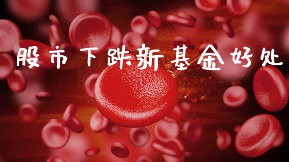 股市下跌新基金好处_https://www.fsyjjx.cn_理财资讯_第1张