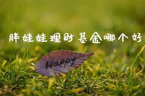 胖娃娃理财基金哪个好_https://www.fsyjjx.cn_问财精选_第1张