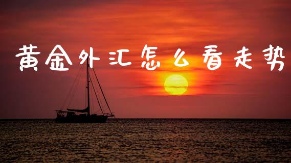 黄金外汇怎么看走势_https://www.fsyjjx.cn_期货在线_第1张