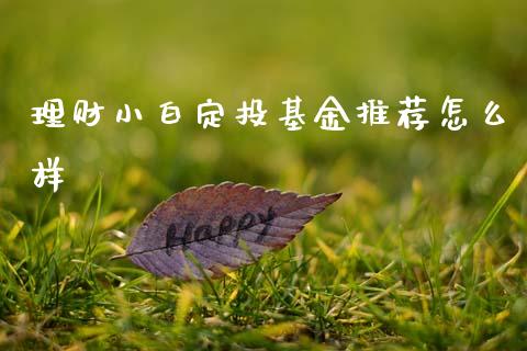 理财小白定投基金推荐怎么样_https://www.fsyjjx.cn_理财资讯_第1张