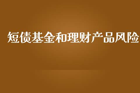 短债基金和理财产品风险_https://www.fsyjjx.cn_问财精选_第1张