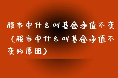 股市中什么叫基金净值不变（股市中什么叫基金净值不变的原因）_https://www.fsyjjx.cn_理财资讯_第1张