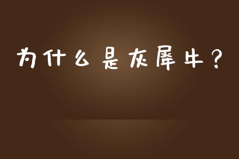 为什么是灰犀牛？_https://www.fsyjjx.cn_股市分析_第1张