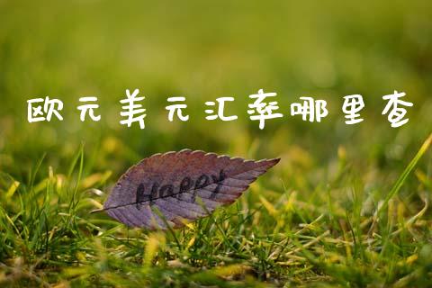 欧元美元汇率哪里查_https://www.fsyjjx.cn_期货研报_第1张