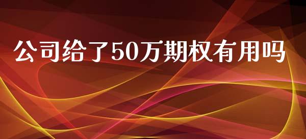公司给了50万期权有用吗_https://www.fsyjjx.cn_期货研报_第1张
