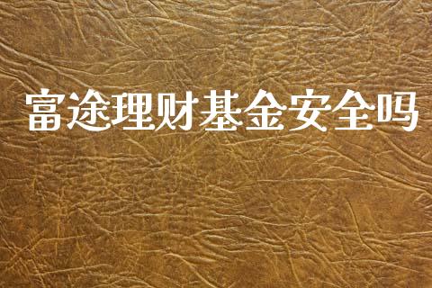 富途理财基金安全吗_https://www.fsyjjx.cn_问财精选_第1张