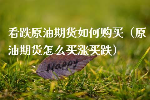 看跌原油期货如何购买（原油期货怎么买涨买跌）_https://www.fsyjjx.cn_期货研报_第1张