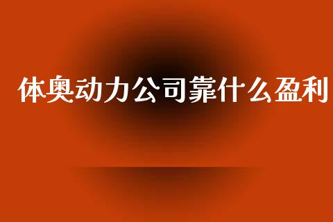 体奥动力公司靠什么盈利_https://www.fsyjjx.cn_股市分析_第1张