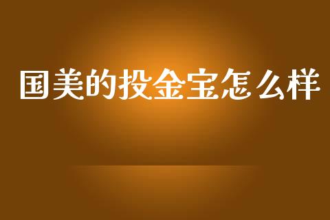 国美的投金宝怎么样_https://www.fsyjjx.cn_问财精选_第1张